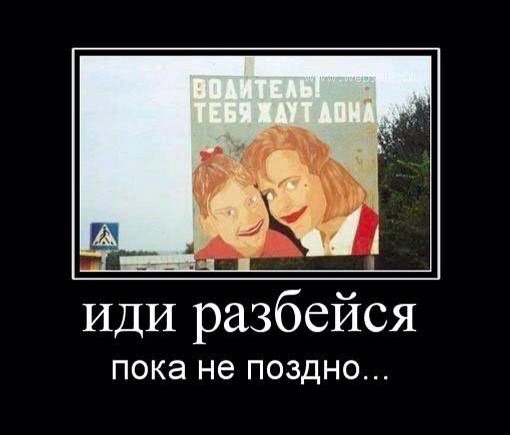 Забавные картинки.