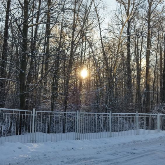 Солнечный день в Санкт-Петербурге