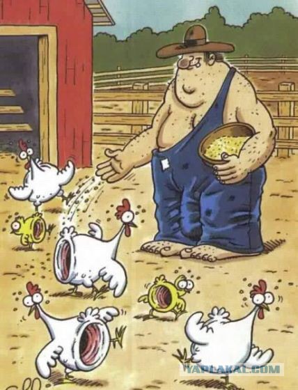 Уменьшил йух