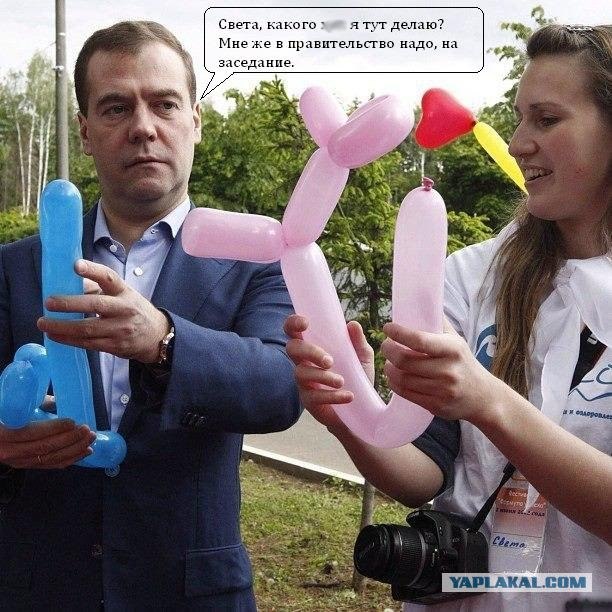 Медведев сделал голубую собачку