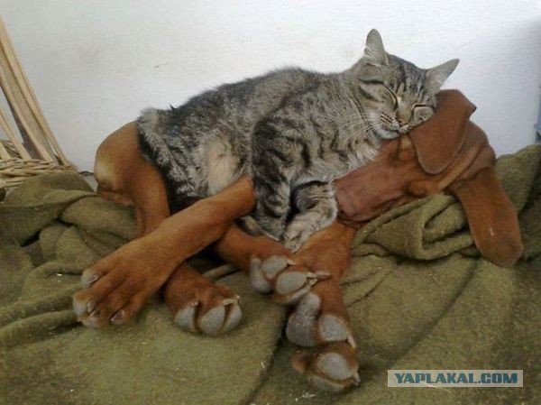 44 позитивных фото.