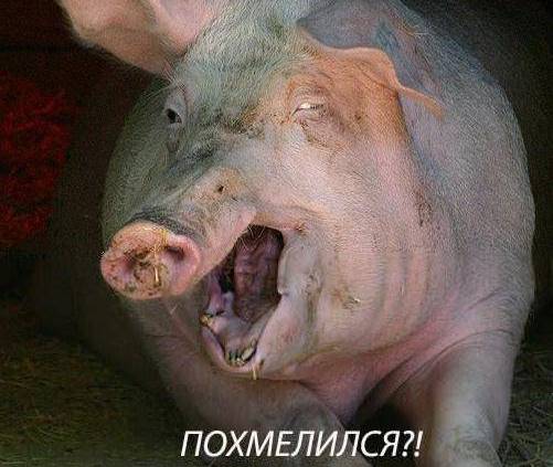 В мире криворуких идиотов: лучшие моменты
