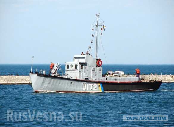 Новый флот Украины