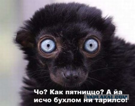 Когда кто-то плюсует твой заминусованый пост