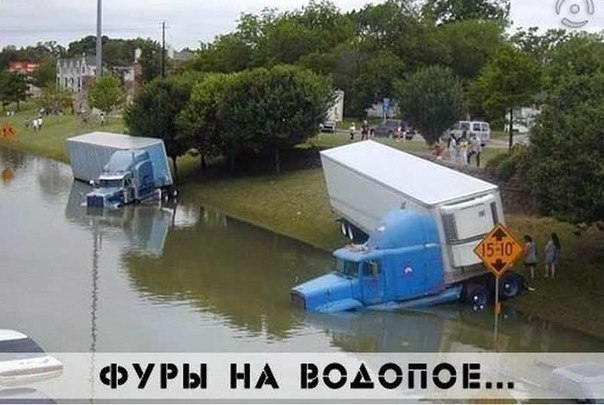 Подборка прикольных фото на пятницу