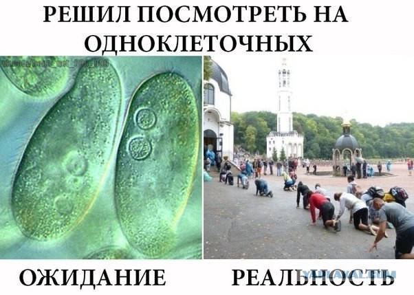 Можно ли выходить замуж за неверующего человека