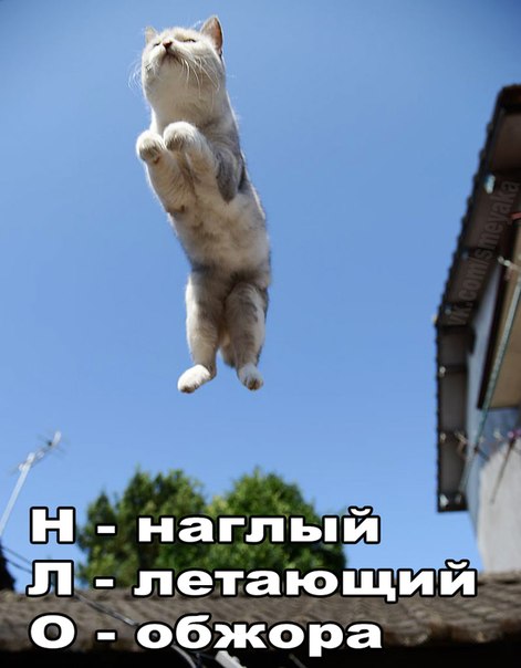 Картинки и демотиваторы