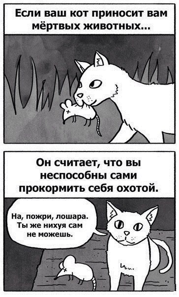 Картинки и демотиваторы