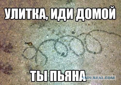 Забавные картинки из Сети