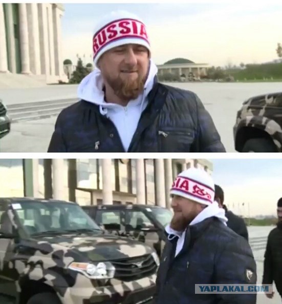 Гиббон решил помочь чеченскому олигарху... Зря!
