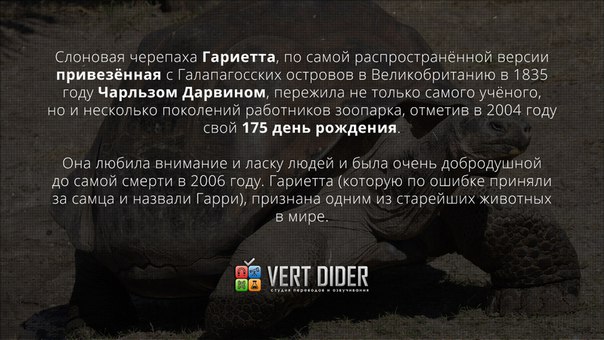 Смешные комментарии 23.02.2016