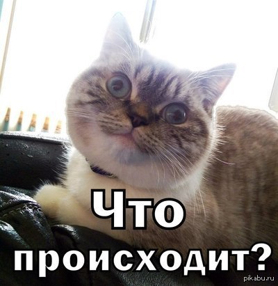 Свежая подборка прикольных картинок