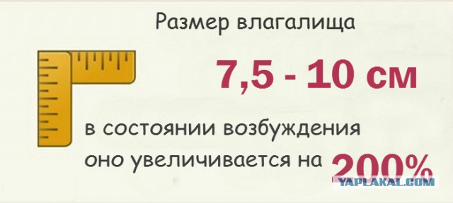 10 малоизвестных фактов о женском половом органе