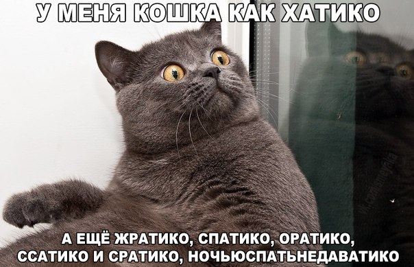 Божьи твари