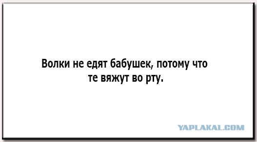 Порция картинок из сети