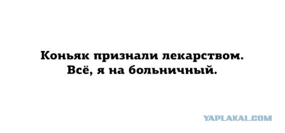 Смешные комментарии из социальных сетей 14.10.2016