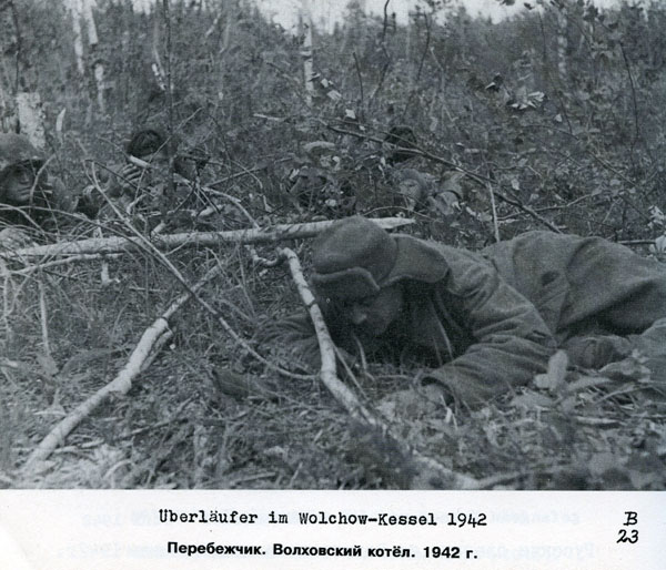 Волховский фронт. 1942. Взгляд с той стороны.