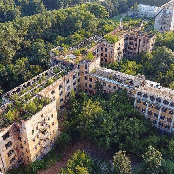 Моменты, запечатлённые на фото и просто позитив 5