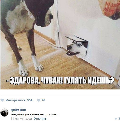 Ужасы и приколы из соцсетей 18+