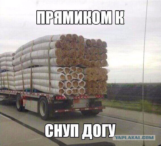 Смешные и не очень жипэги..