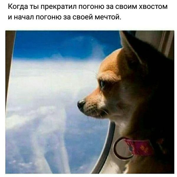 29 картинок