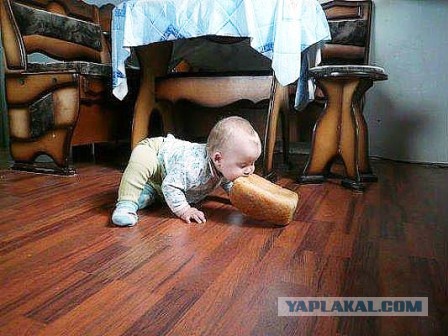 Ты - не ты, когда голоден