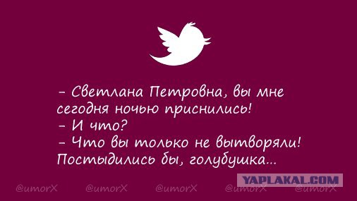 Смешные комментарии из социальных сетей 08.12.2017