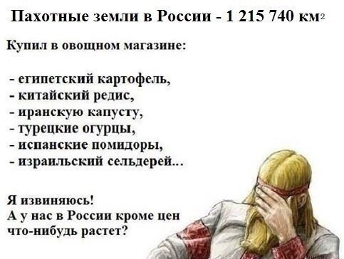 В 2017 году впервые за 15 лет вся посевная площадь в России превысила планку в 80 млн га.