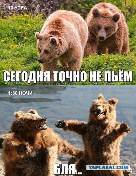 Итоги проверки пользователей