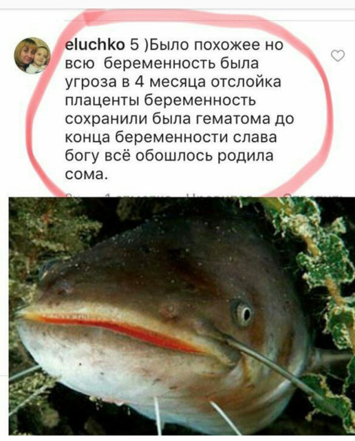 Яжмать в естественной среде обитания