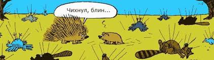 Два ёжика встретили кошку и полностью облысели из-за сильного испуга