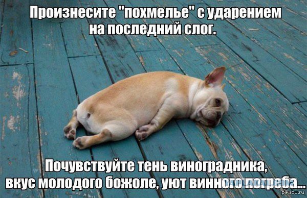 Разоблачение знатоков вин