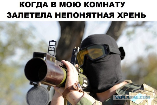 Немного картинок в этот четверг