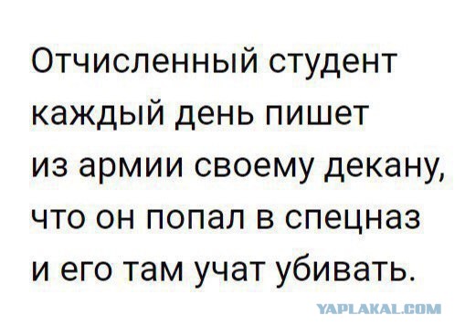 Картинки юморные и тексты