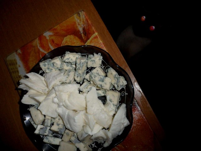 Котовторник 30.10.2012