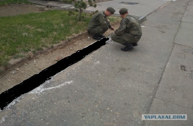 ...Тем крепче наша оборона!
