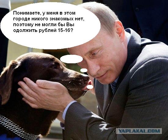 Путин и лабрадор