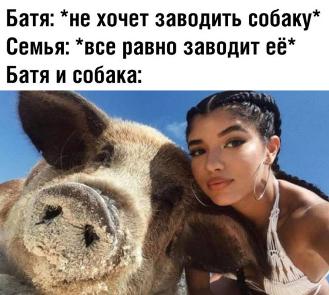 Картинки на вечер