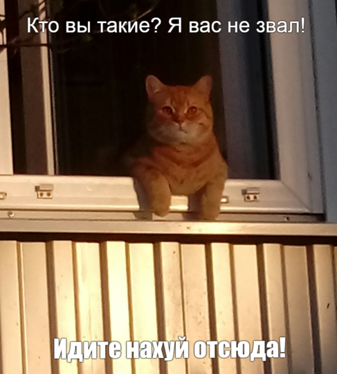 Просто для настроения