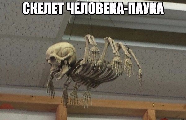 Чуток картинок 04.05.20