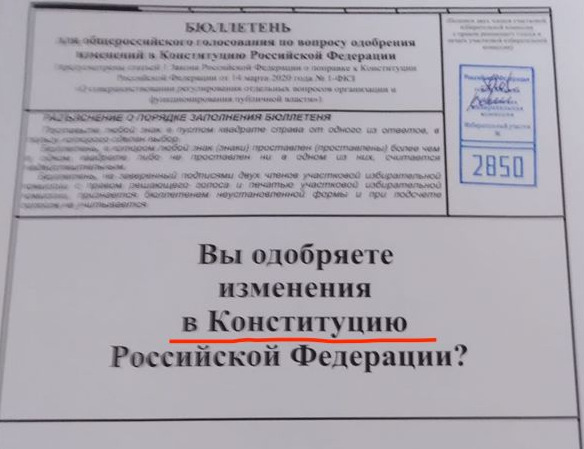 Журналист "Дождя" Павел Лобков дважды проголосовал по поправкам в Конституцию