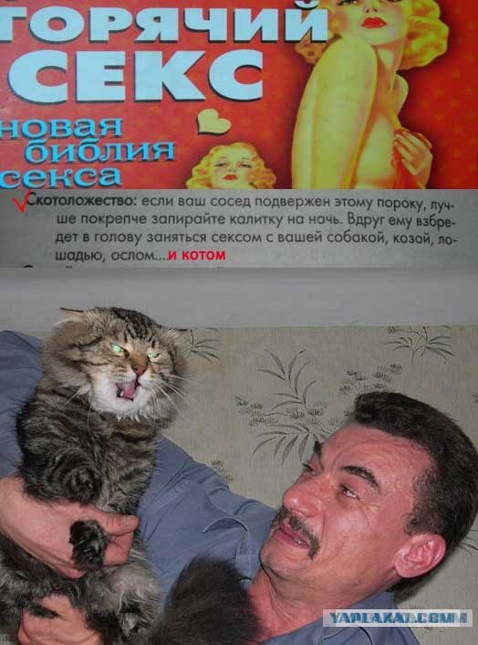Злой кот