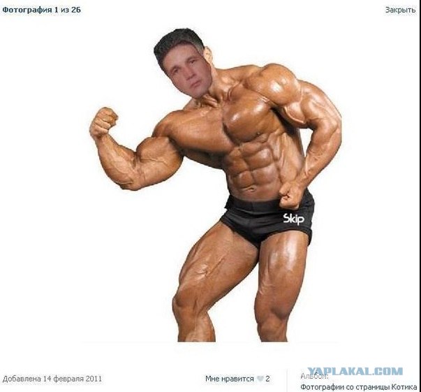 Мастер Фотошопа