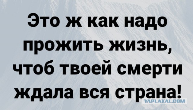 "Отрицать бесполезно". Биограф Путина подтвердил: дворец в Геленджике — подарок президенту от олигархов