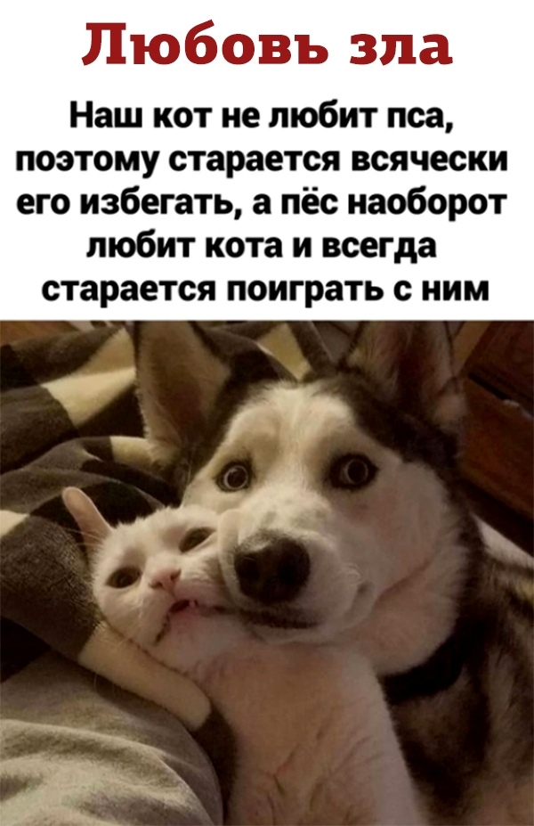 Кретинизмы из сети 05.02.21