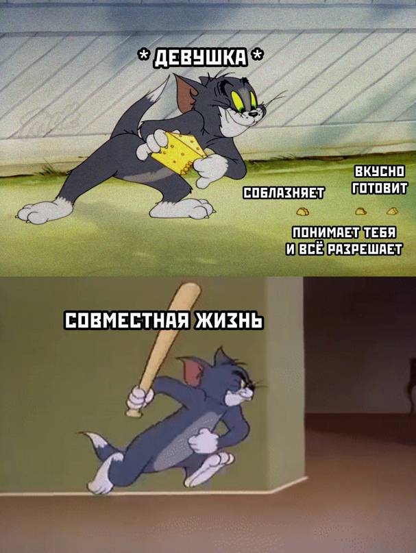 Весёлый полтишок 22.02
