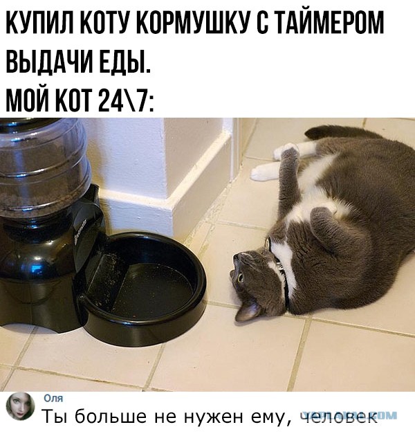 Весёлый полтишок 5.04