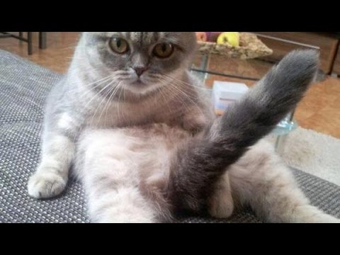 Насохранял