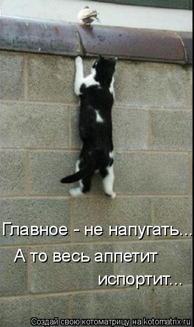 Тигр на охоте