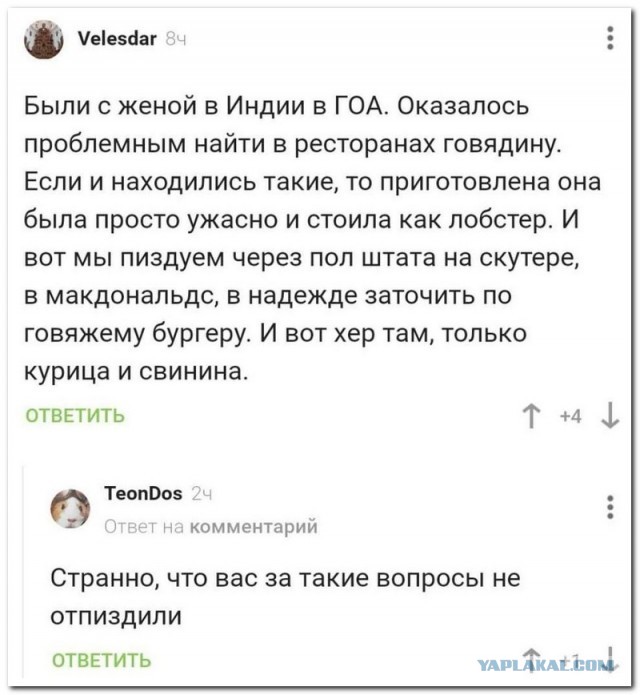 Забавные комментарии из социальных сетей (22.06.21)